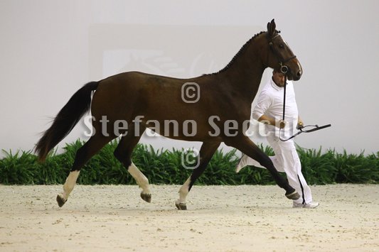 NADA BRAUN_MILANO_2010_SS3_4012.jpg